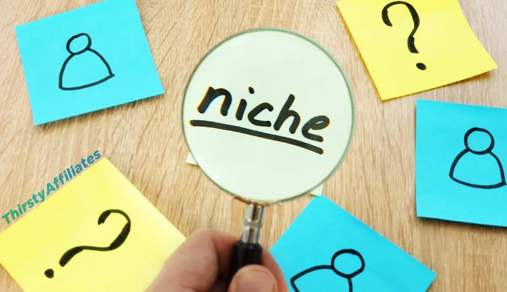 Personal or Niche Blog