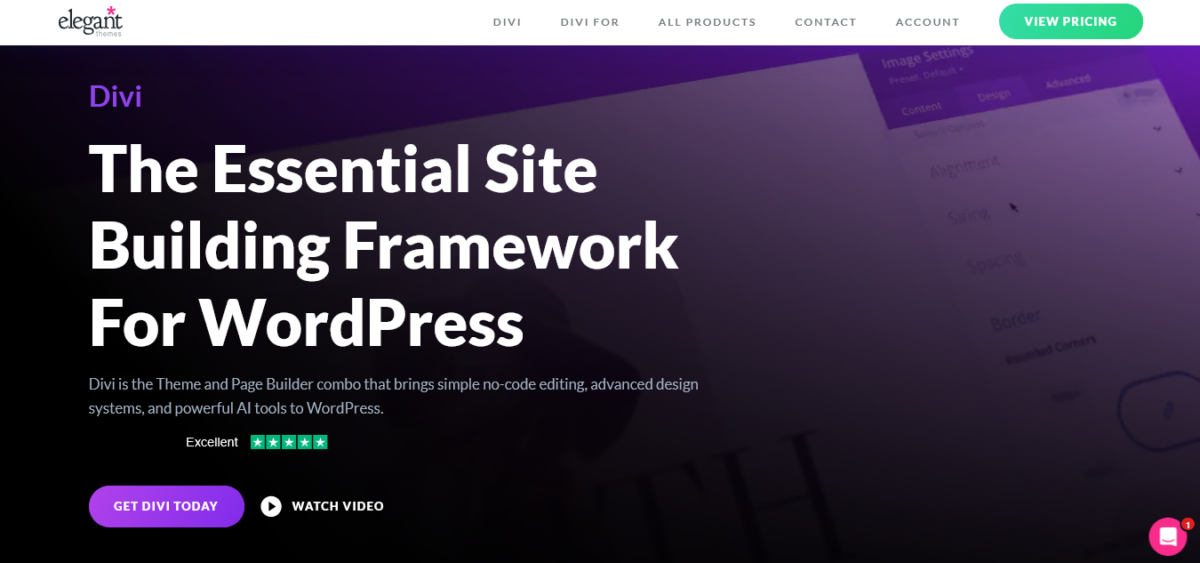 Elegant Theme: Divi