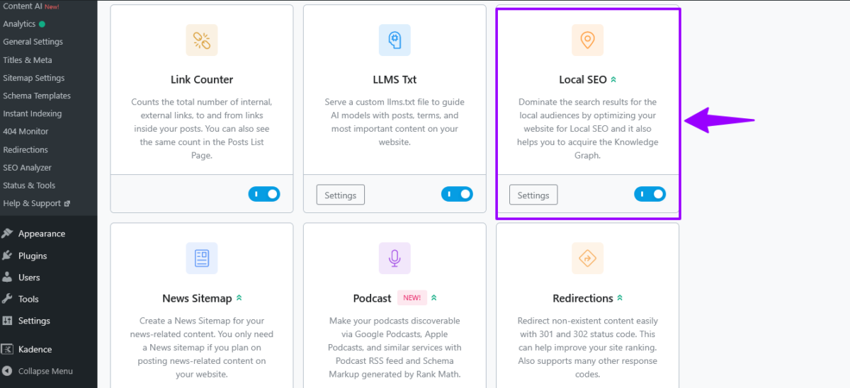 Local SEO settings and options displayed