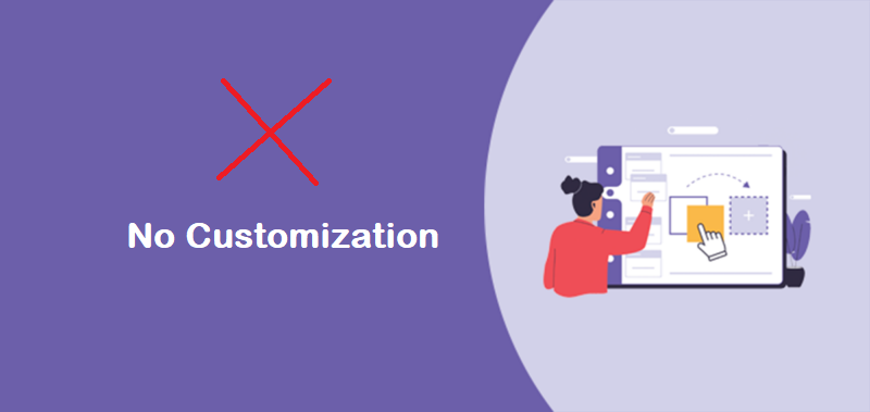 No Website Customization